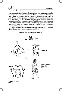 Liver in Traditional Chinese Medicine