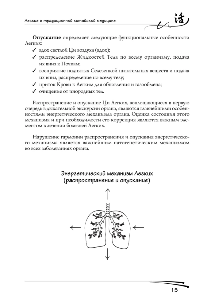 Lungs in Traditional Chinese Medicine