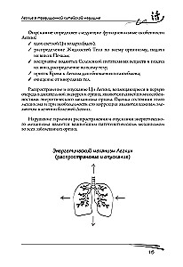 Lungs in Traditional Chinese Medicine