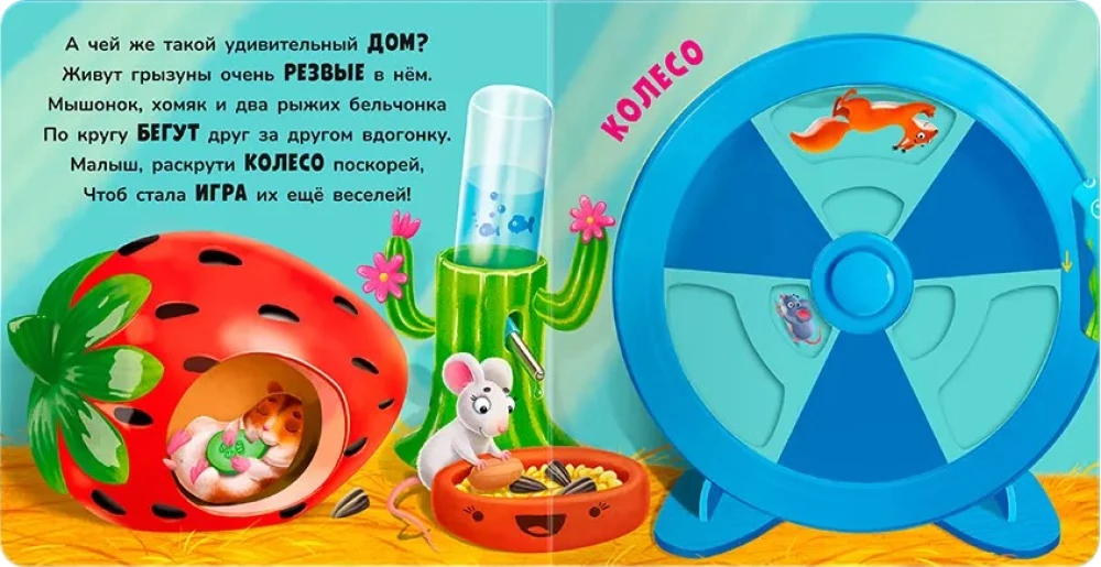 Move and Play. Our Pets