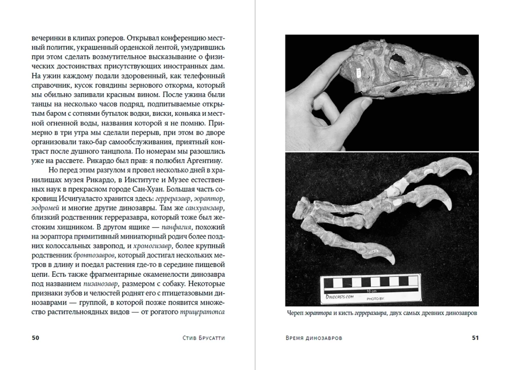 Dinozaurų laikas: Nauja senovės roplių istorija