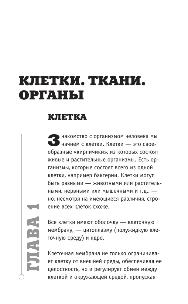 Anatomia. Odkrycie człowieka