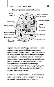 Anatomia. Odkrycie człowieka