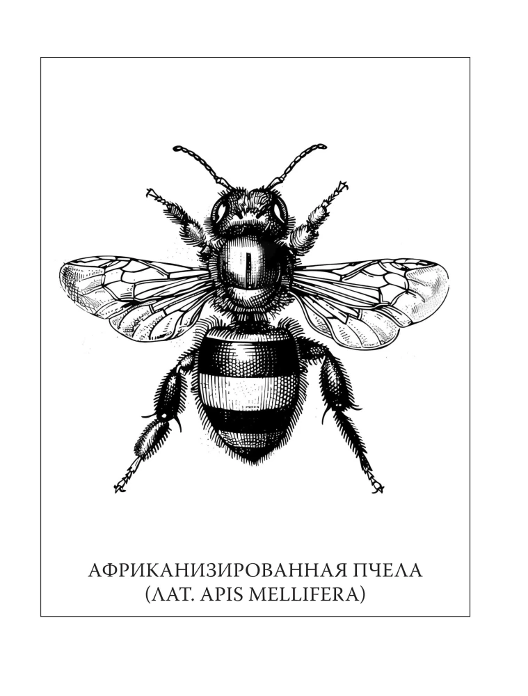 Insektarium: niebezpieczne pasożyty, mięsożerne robaki i straszne motyle