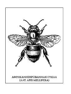 Insektarium: niebezpieczne pasożyty, mięsożerne robaki i straszne motyle