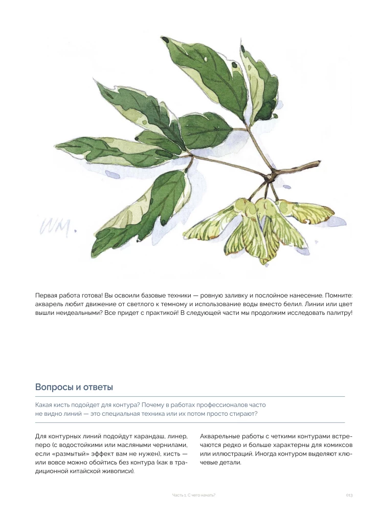 Akwarelowe malarstwo. Lekcje rysunku od azjatyckich ilustratorów