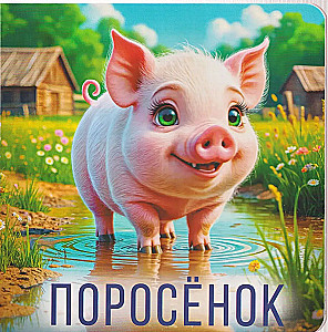 Namų gyvūnai