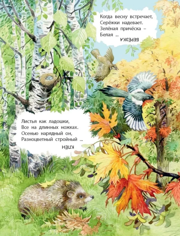 Co znajdziemy w lesie? Wiersze-zagadki