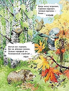 Co znajdziemy w lesie? Wiersze-zagadki