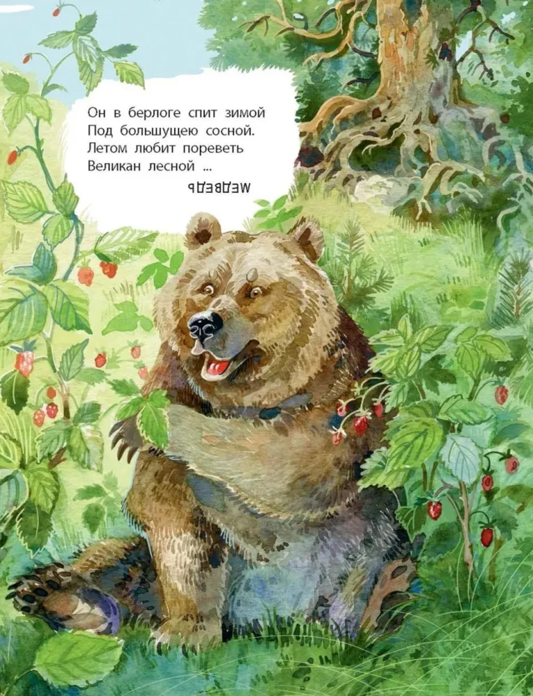 Co znajdziemy w lesie? Wiersze-zagadki