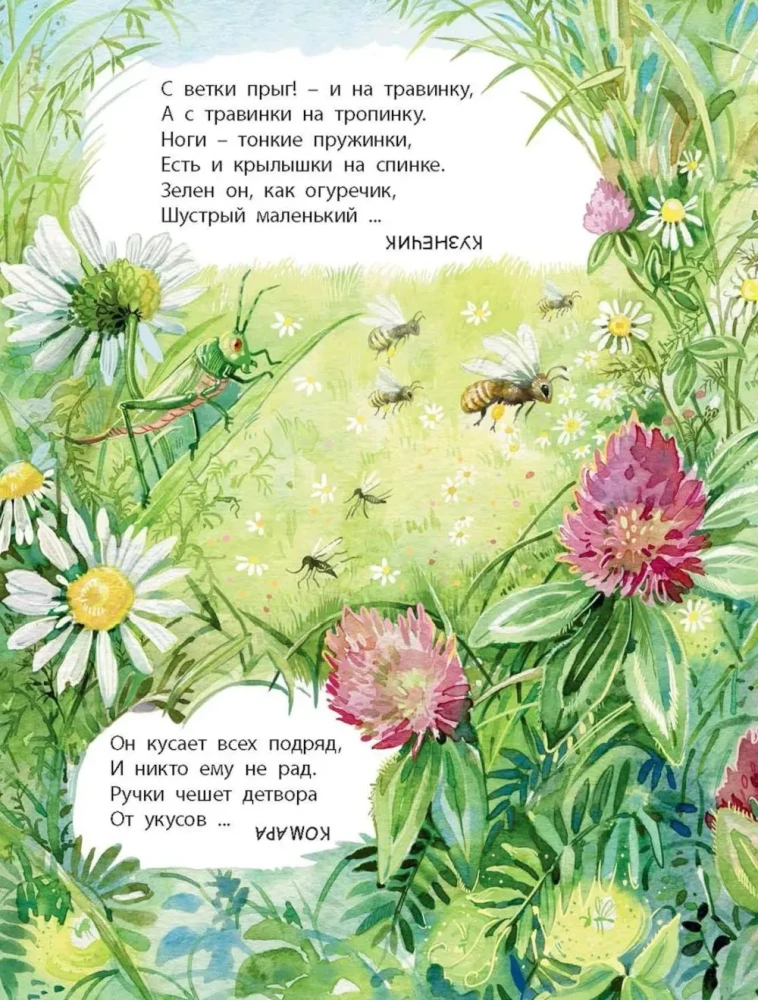 Co znajdziemy w lesie? Wiersze-zagadki