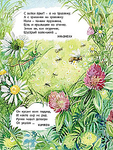 Co znajdziemy w lesie? Wiersze-zagadki