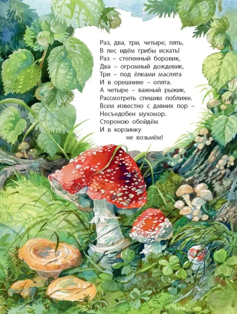 Co znajdziemy w lesie? Wiersze-zagadki