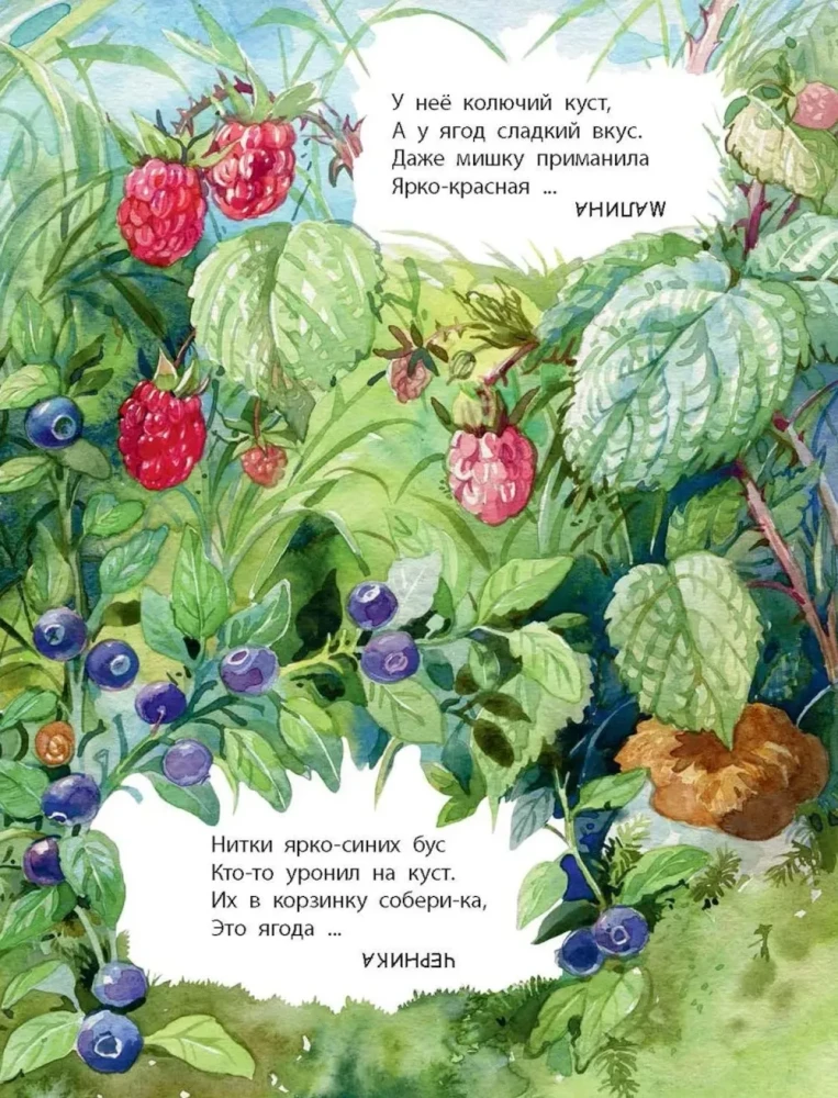 Co znajdziemy w lesie? Wiersze-zagadki