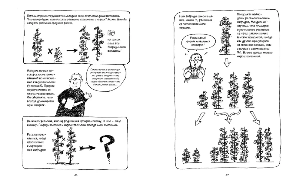 Genetics. A Brief Course in Comics