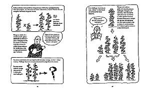 Genetics. A Brief Course in Comics