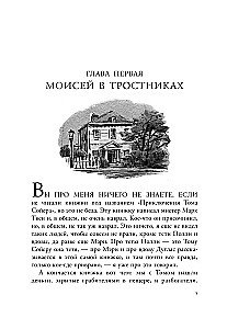 Heklberrio Finno nuotykiai