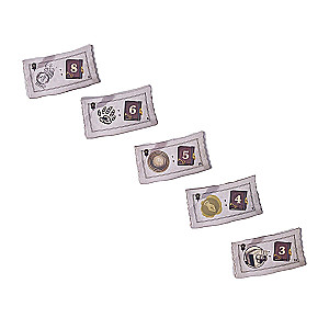 Darwin's Journey Board Game