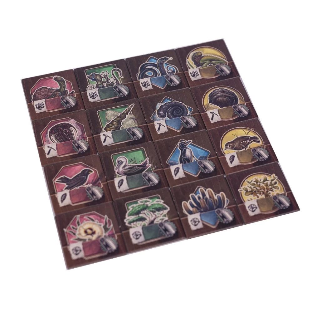 Darwin's Journey Board Game