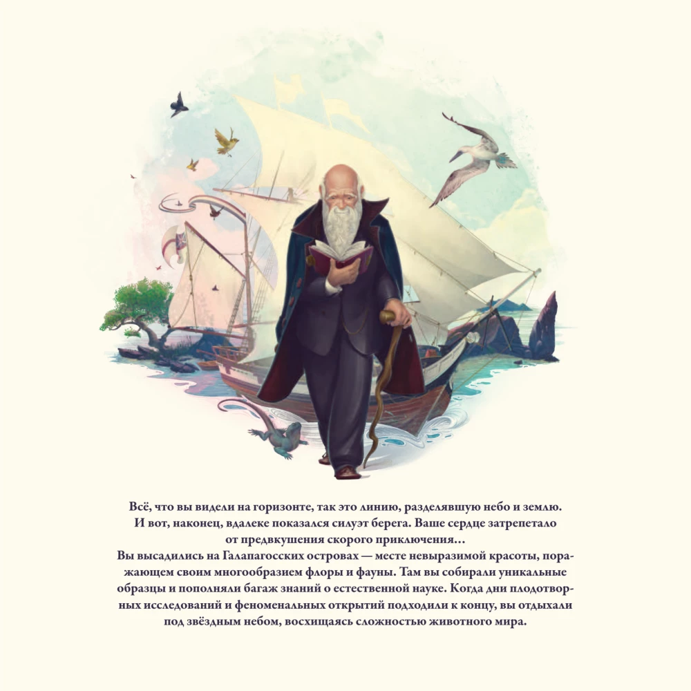 Darwin's Journey Board Game