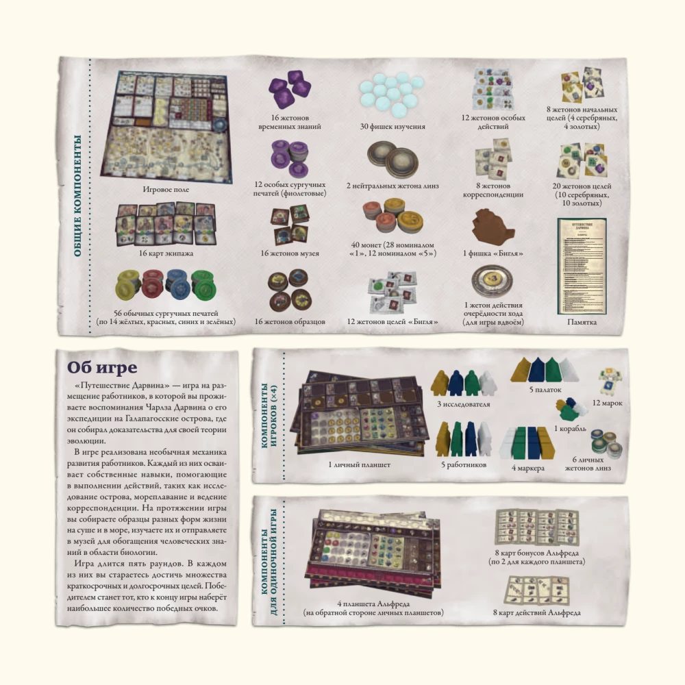 Darwin's Journey Board Game
