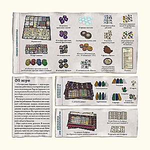 Darwin's Journey Board Game