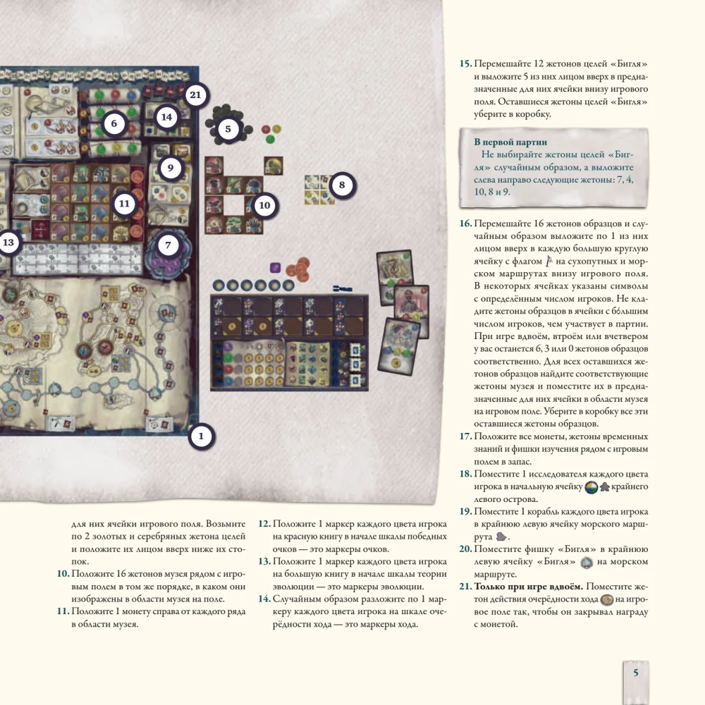Darwin's Journey Board Game