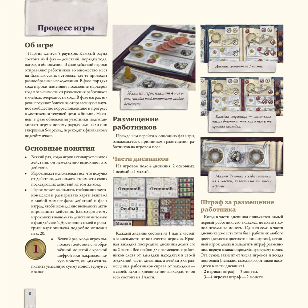 Darwin's Journey Board Game