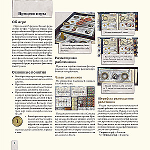 Darwin's Journey Board Game
