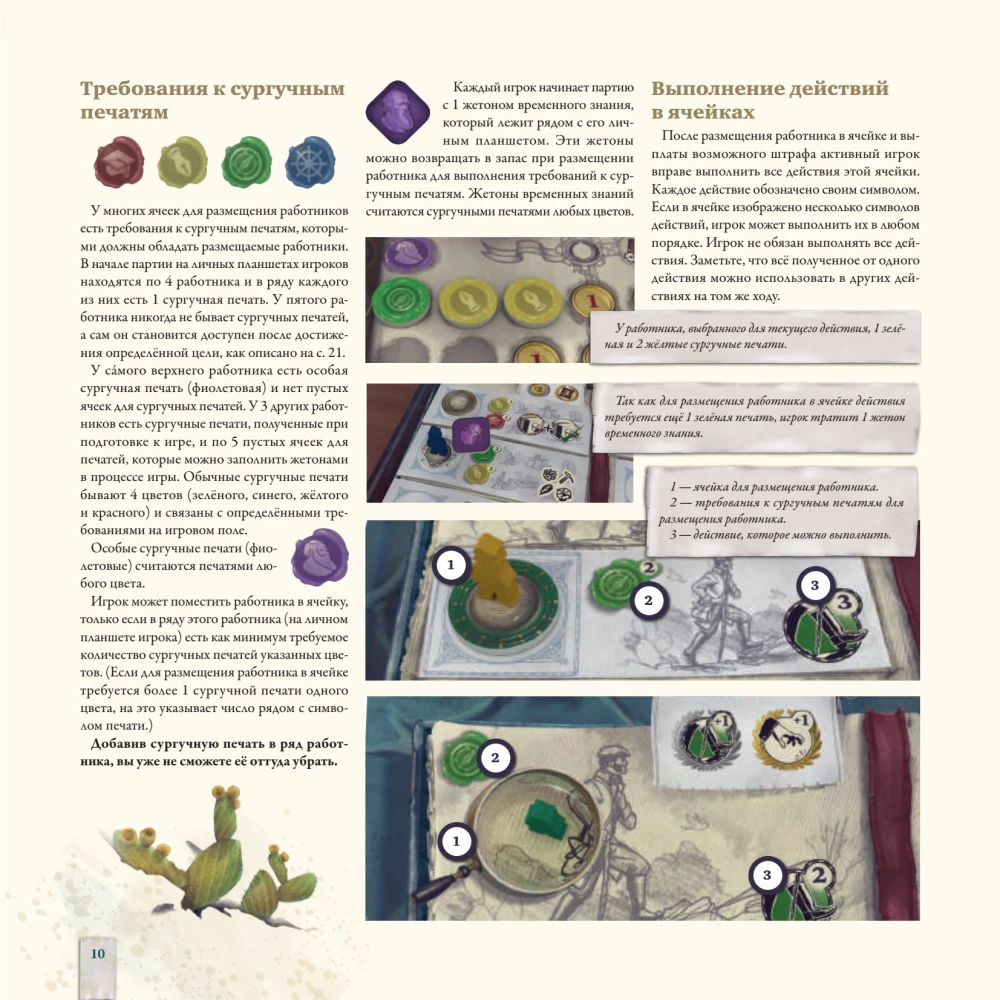 Darwin's Journey Board Game
