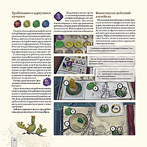 Darwin's Journey Board Game