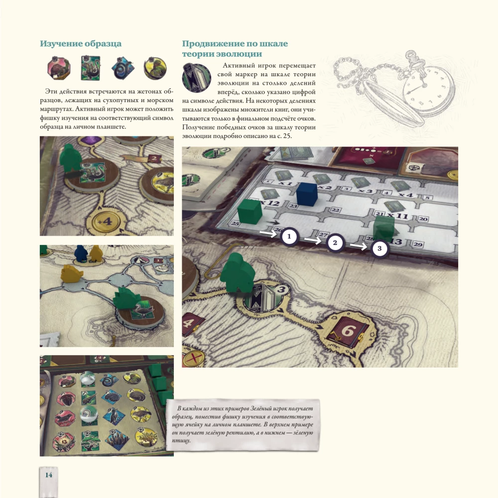 Darwin's Journey Board Game