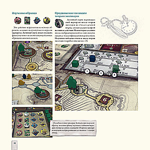 Darwin's Journey Board Game