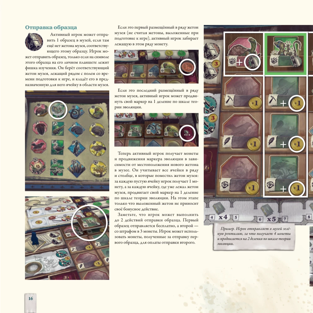 Darwin's Journey Board Game