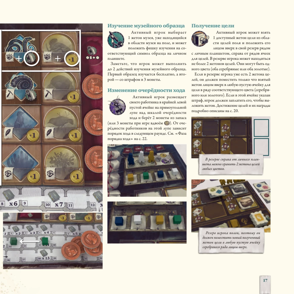 Darwin's Journey Board Game