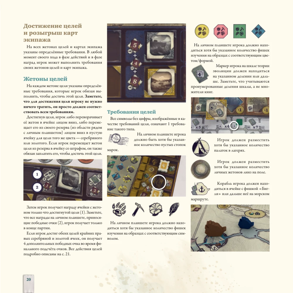 Darwin's Journey Board Game