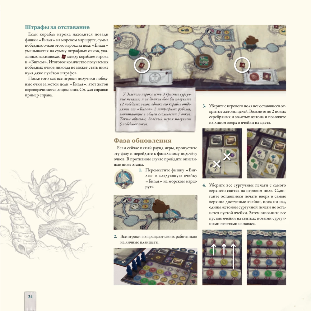 Darwin's Journey Board Game