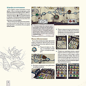 Darwin's Journey Board Game