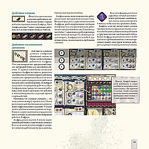 Darwin's Journey Board Game
