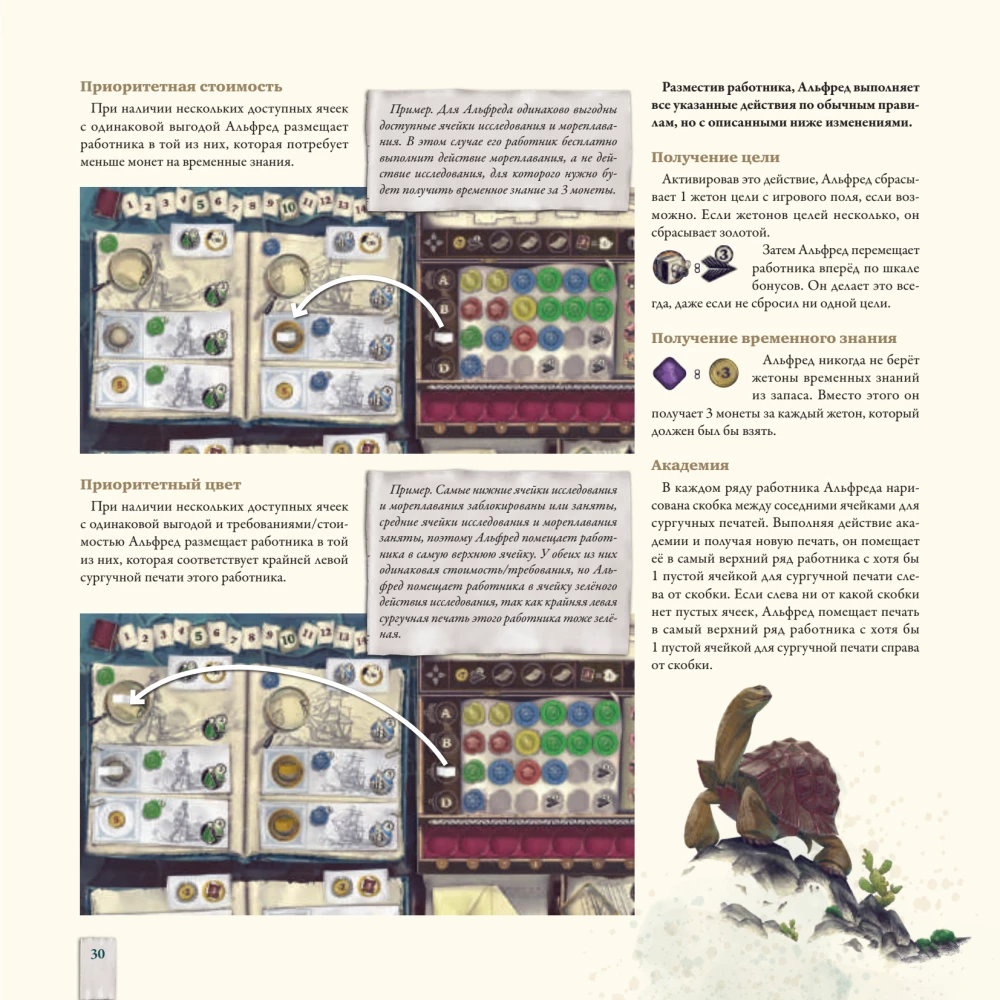 Darwin's Journey Board Game