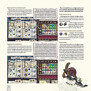 Darwin's Journey Board Game