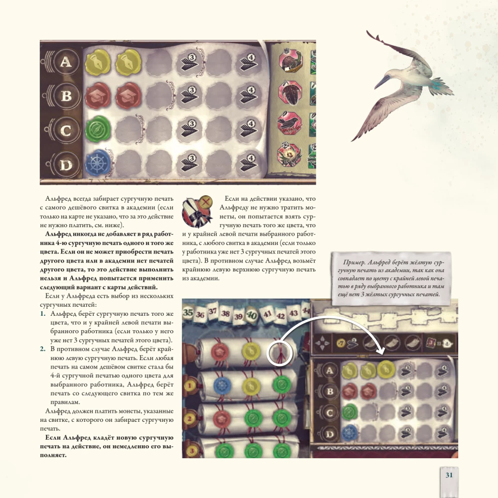 Darwin's Journey Board Game