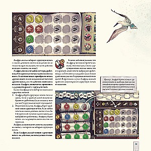 Darwin's Journey Board Game