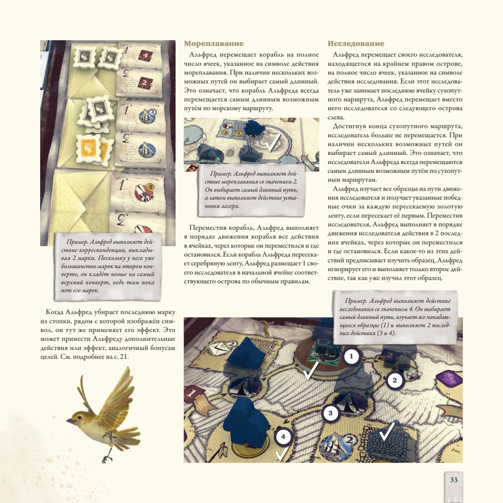 Darwin's Journey Board Game