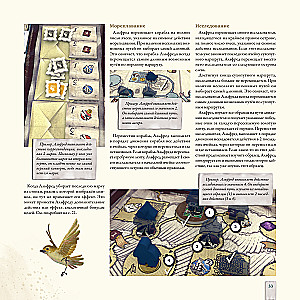 Darwin's Journey Board Game