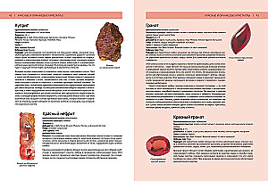 Encyklopedia kryształów
