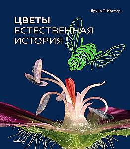 Цветы. Естественная история