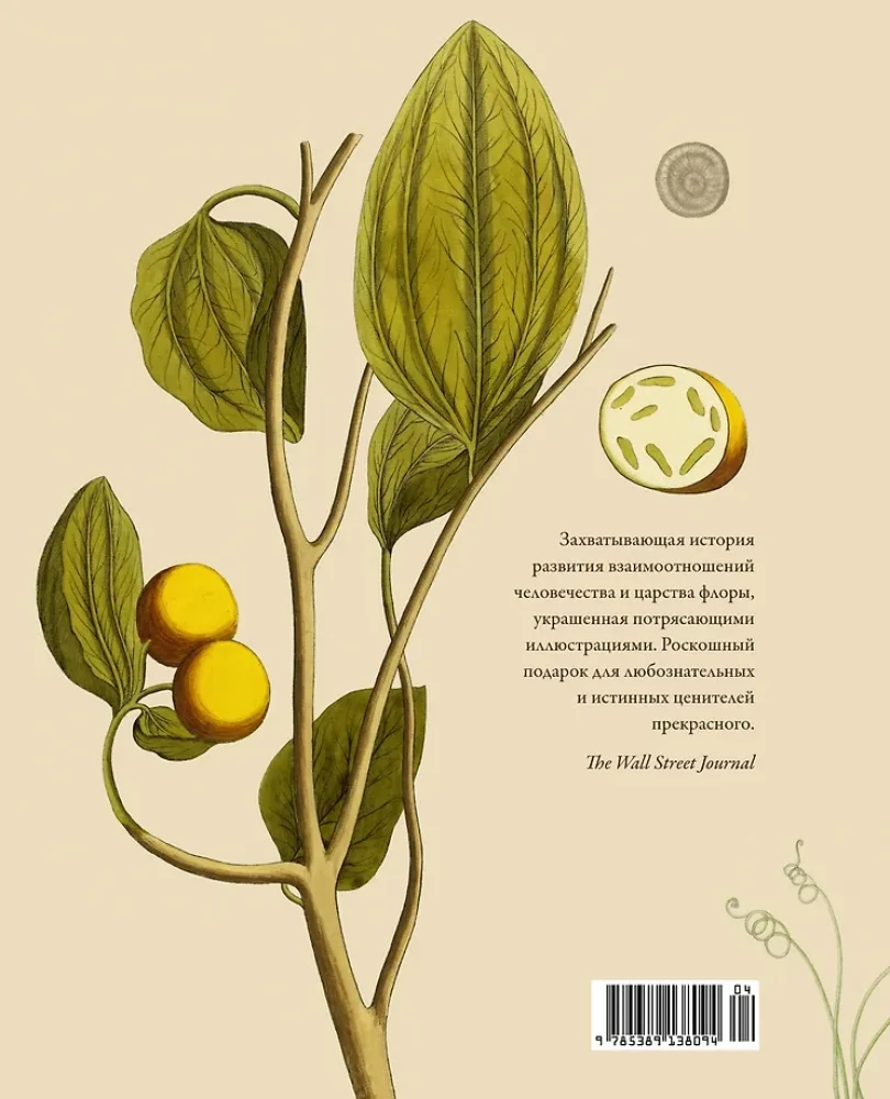 Outstanding Plants That Changed Our Life