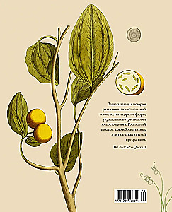 Outstanding Plants That Changed Our Life