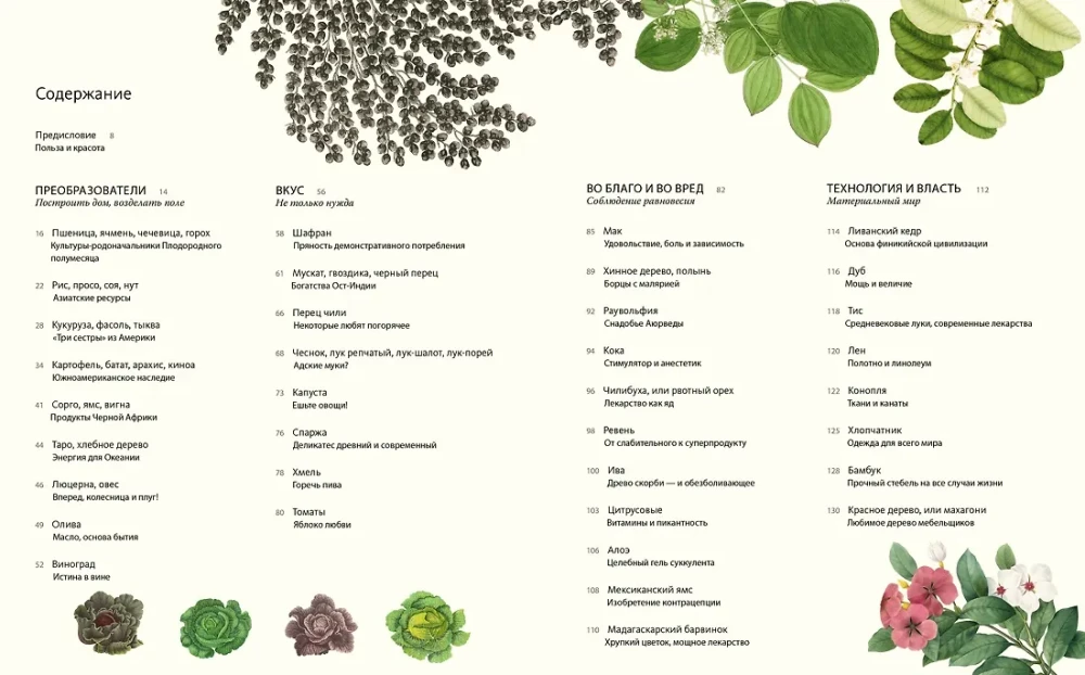 Outstanding Plants That Changed Our Life